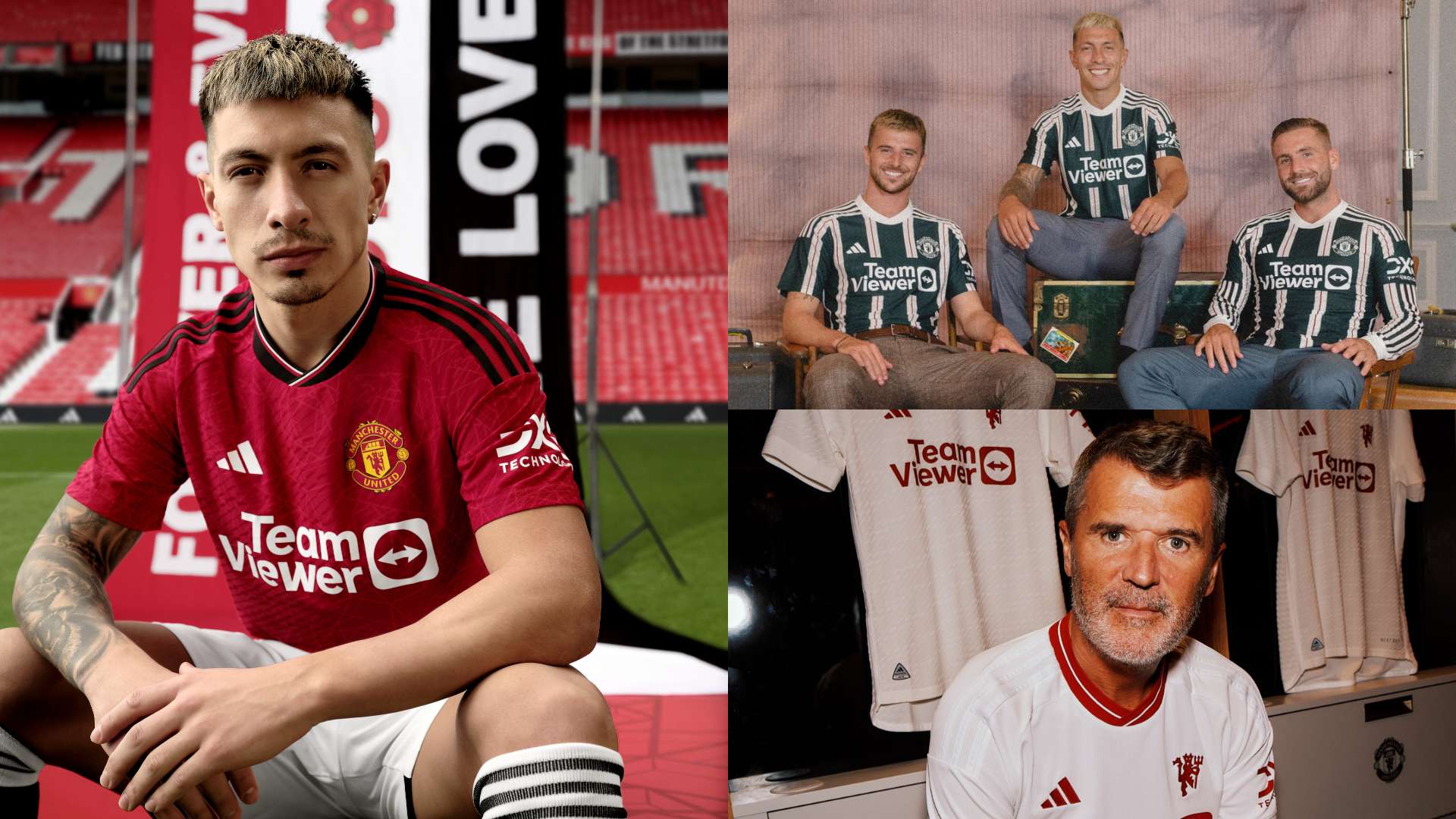 他们不仅是 他们不仅是